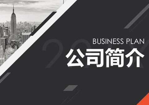 斯达锐输送系统（上海）有限公司公司简介